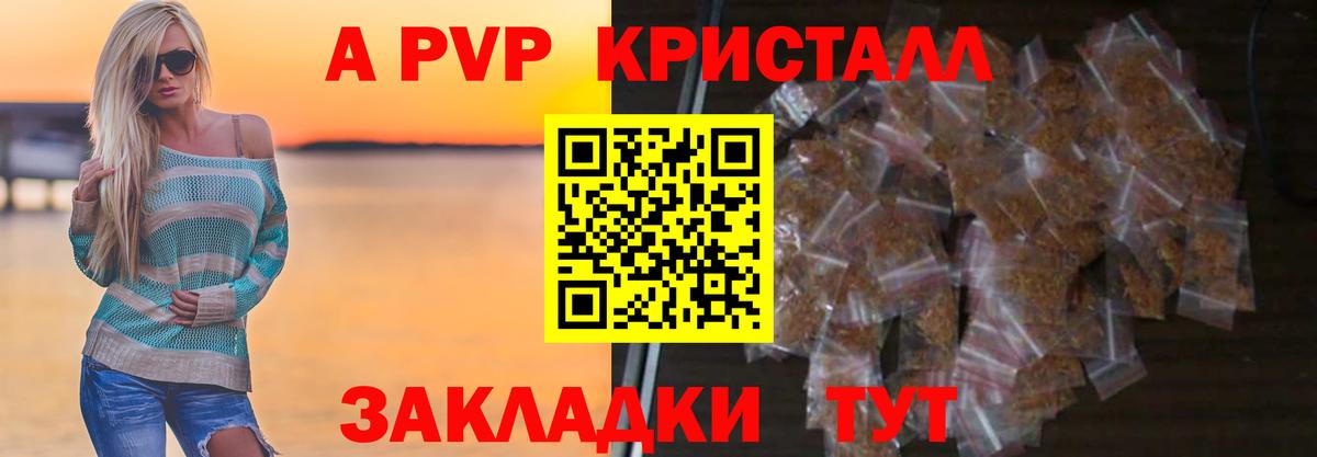 A PVP СК Электрогорск