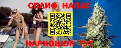 ALPHA PVP Кингисепп