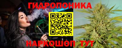 сатива Кимры