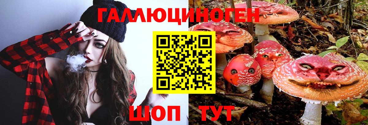 Галлюциногенные грибы ЛСД  Псилоцибиновые грибы GOLDEN TEACHER  Электрогорск  Вход с VPN 